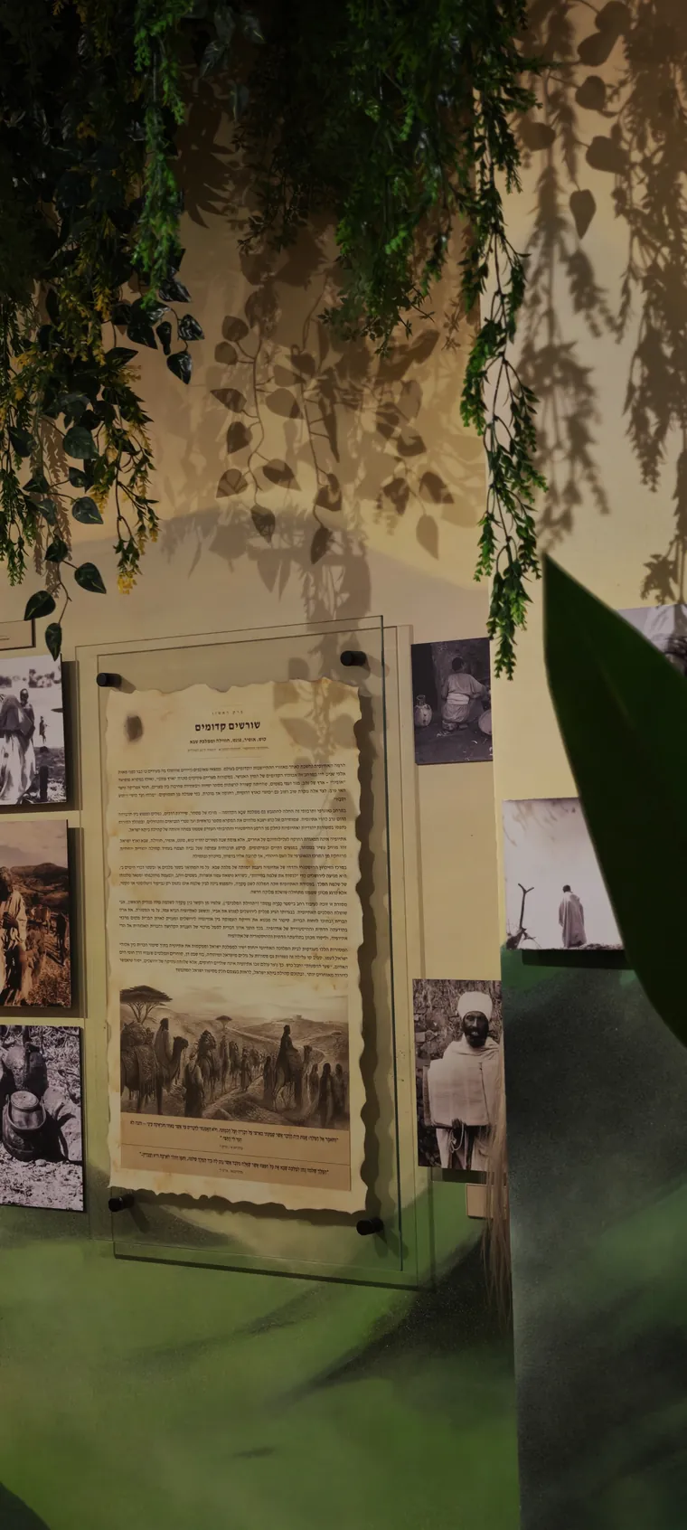 The Ancient Roots panel framed by hanging greenery