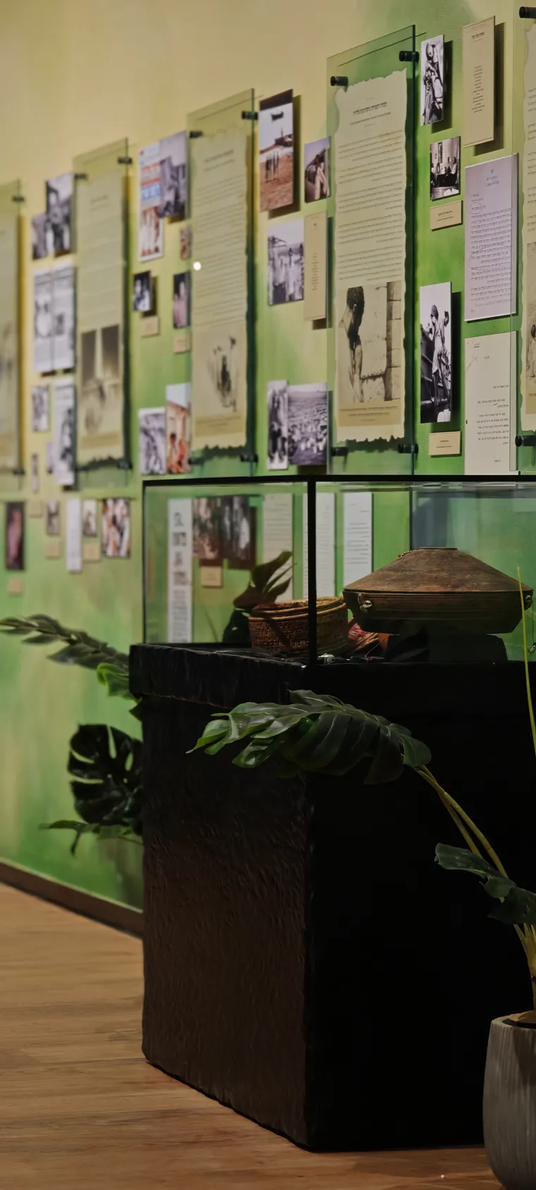 Glass vitrine of Ethiopian Jewish artefacts set against the sculpted green documentation wall